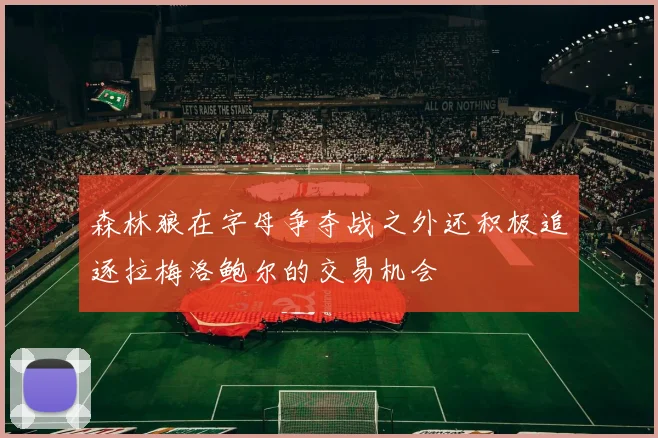 森林狼在字母争夺战之外还积极追逐拉梅洛鲍尔的交易机会